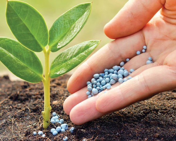 fertilizantes1